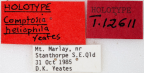 <i>Comptosia heliophila</i> Holotype label